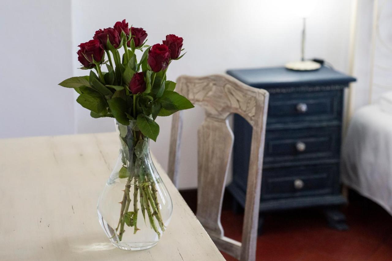 Fattoria Pian Di Rocca Bed & Breakfast Castiglione della Pescaia Bagian luar foto
