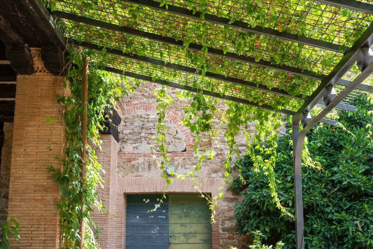 Fattoria Pian Di Rocca Bed & Breakfast Castiglione della Pescaia Bagian luar foto